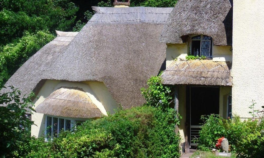 Holnicote House Hotel Exterior photo